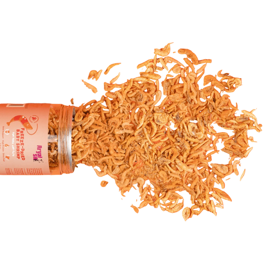 Freeze-Dried Baby Shrimp