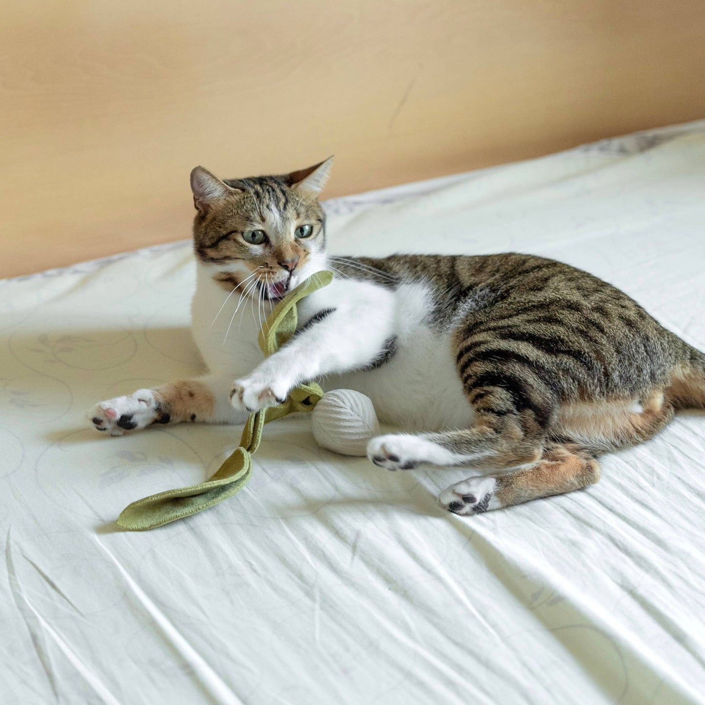 Catnip Radish Toy
