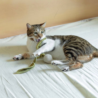 Catnip Radish Toy