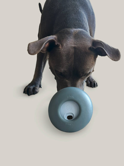 Pebble Puzzle Toy: Slow Feeder + Treat Dispenser
