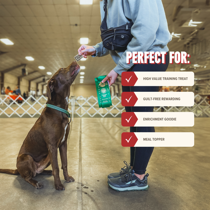 Rabbit Mini Training Treats - Low-Calorie