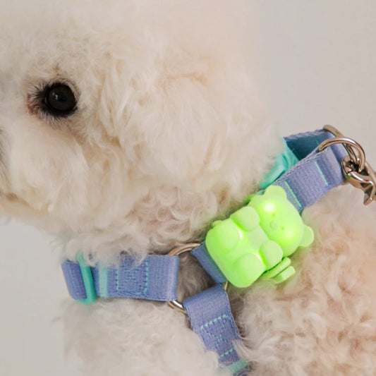 Jelly Bear LED Rechargeable Blinker