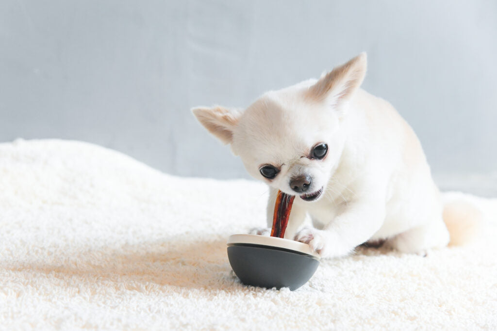 Asobone Chew Holder - MADE IN JAPAN