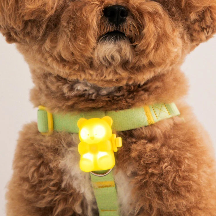 Jelly Bear LED Rechargeable Blinker