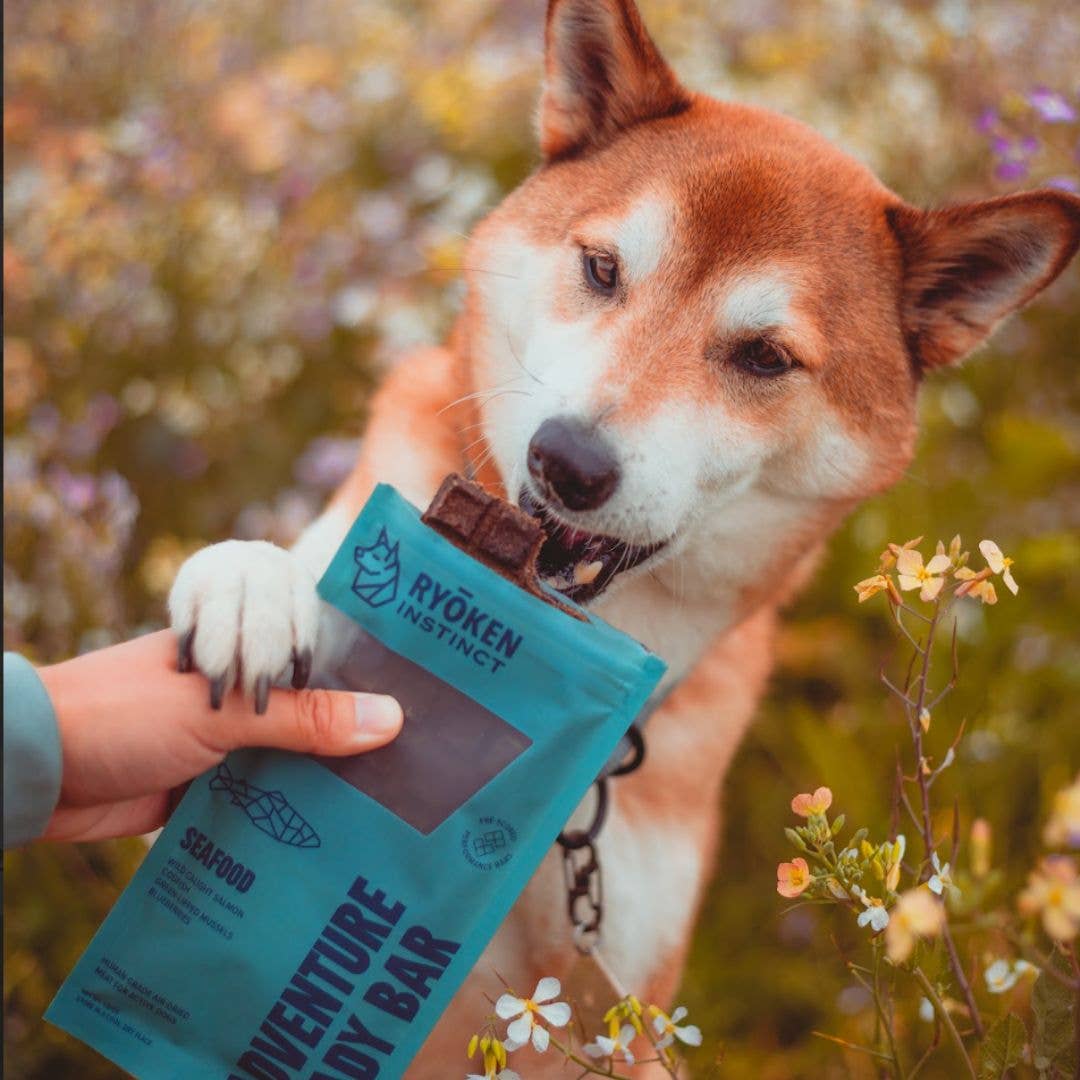 Seafood Energy & Recovery Bar - Active Dogs