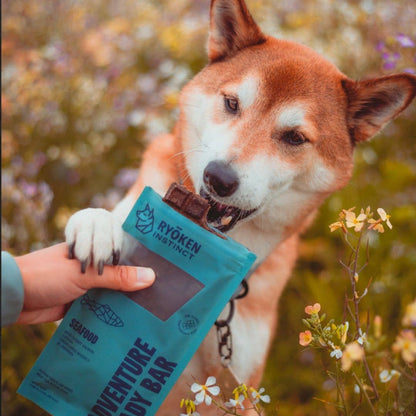 Seafood Energy & Recovery Bar - Active Dogs