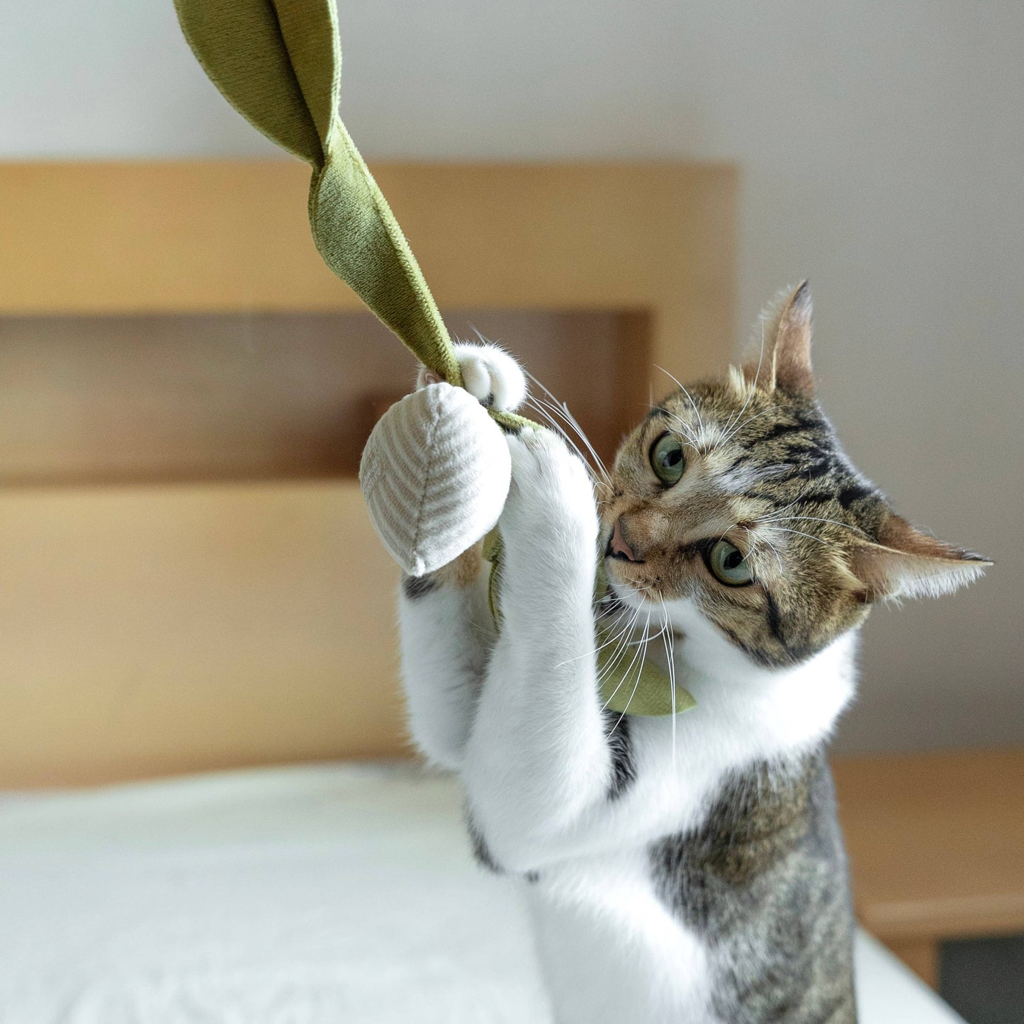 Catnip Radish Toy
