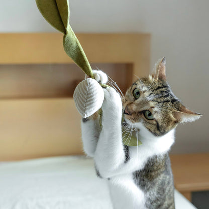 Catnip Radish Toy