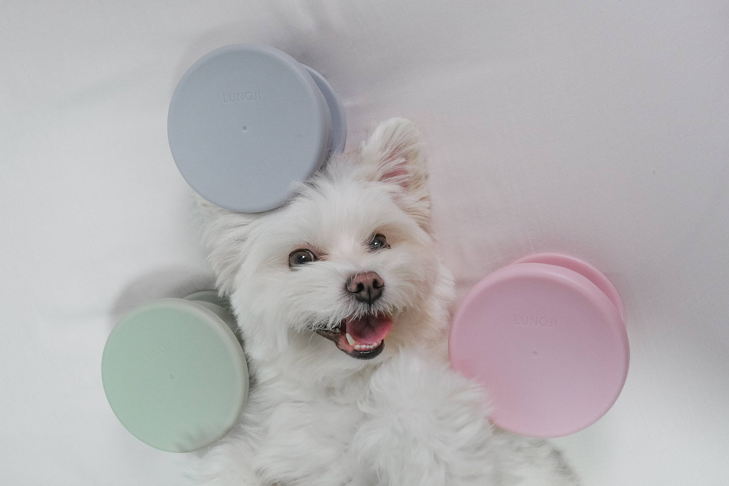 CHEWDEN Trove: Enrichment Slow Feeder