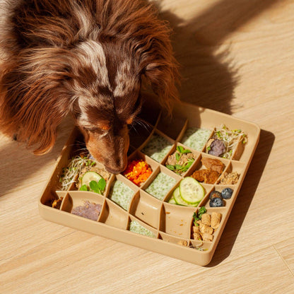 Wavies Slow Feeder Bowl - Mushroom