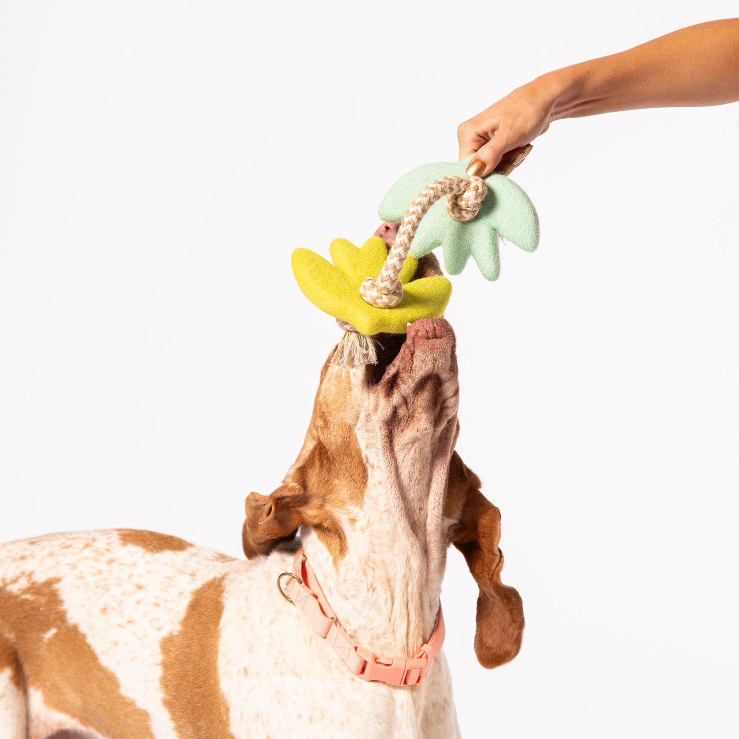 Turtle Doves Felt Toy