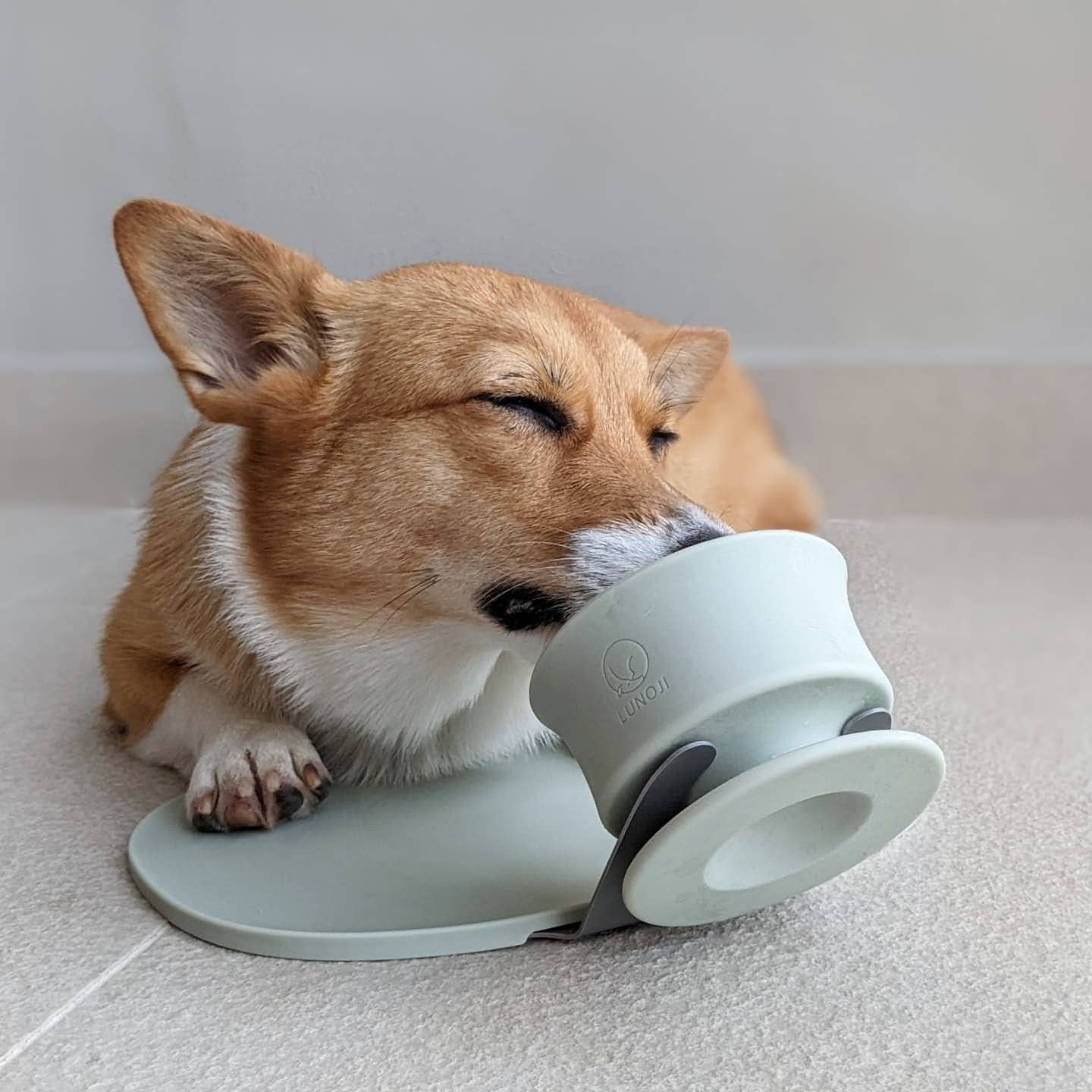 CHEWDEN: Base - Mess-Free, Weighted Mat