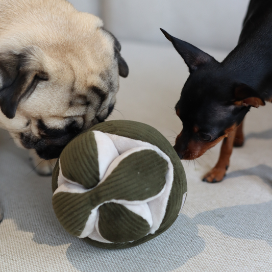 MONTI: Interactive Nosework Puzzle Toy