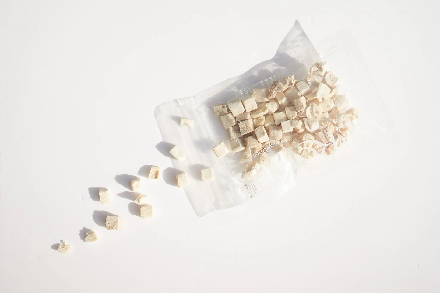 Freeze-Dried Crocodile