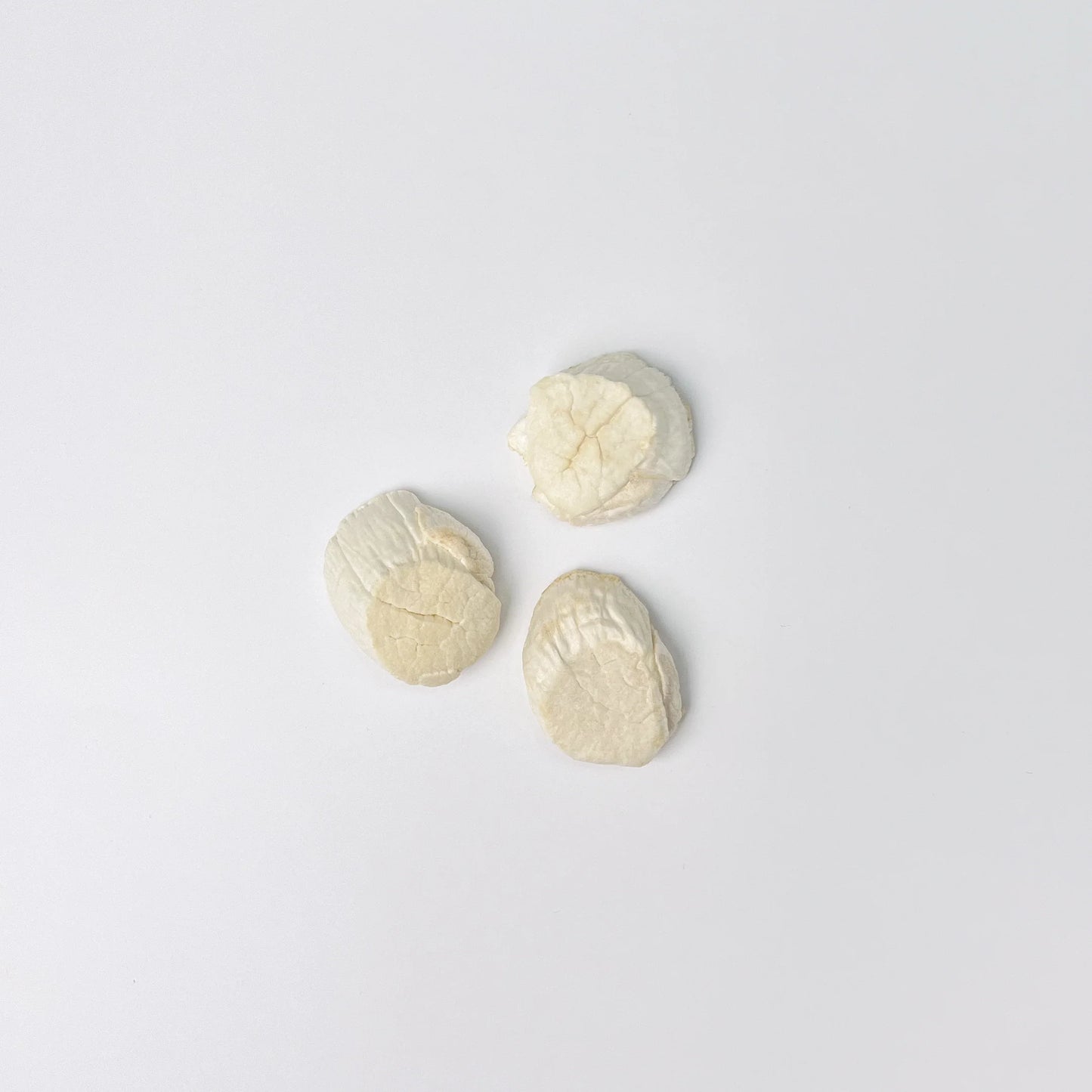 Freeze-Dried Hokkaido Scallop [Limited Release]