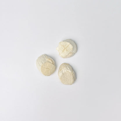 Freeze-Dried Hokkaido Scallop [Limited Release]