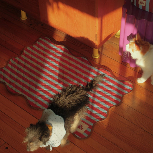 The Ellie Pad - Reusable Washable Pad