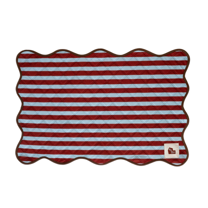 The Ellie Pad - Reusable Washable Pad